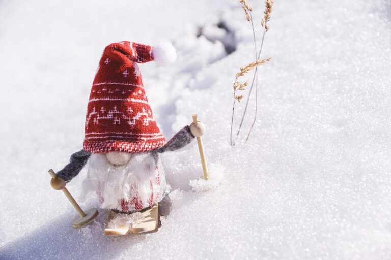 C’est les Vacances d’hiver pour l’EMFV !